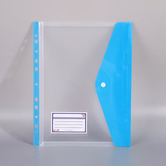 2020 High Quanlity New Design PP File Folder