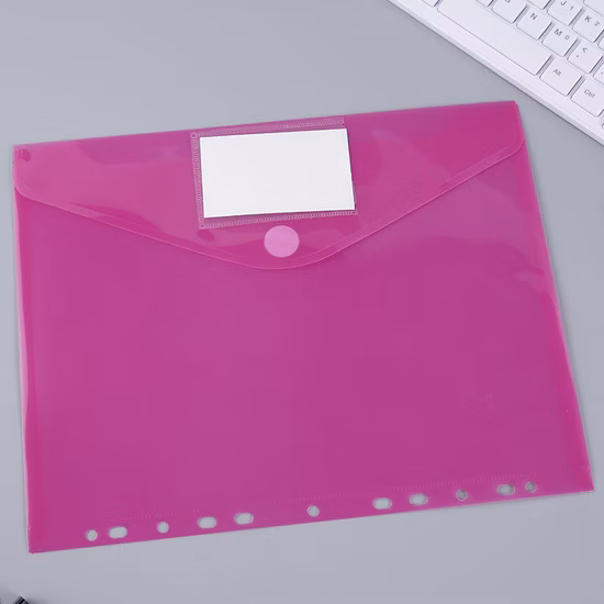 2020 High Quanlity New Design PP File Folder